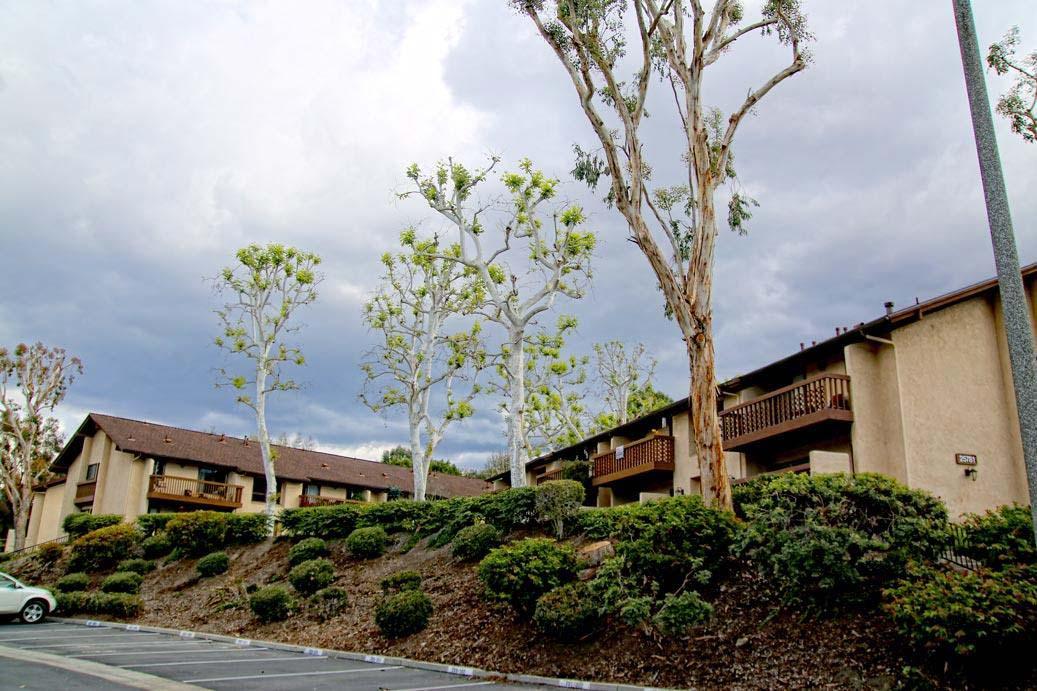 Work Image